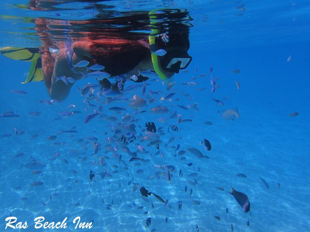 Ras Beach Inn Rasdhoo Экстерьер фото