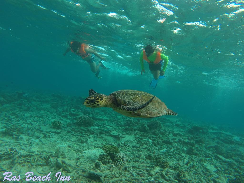Ras Beach Inn Rasdhoo Экстерьер фото