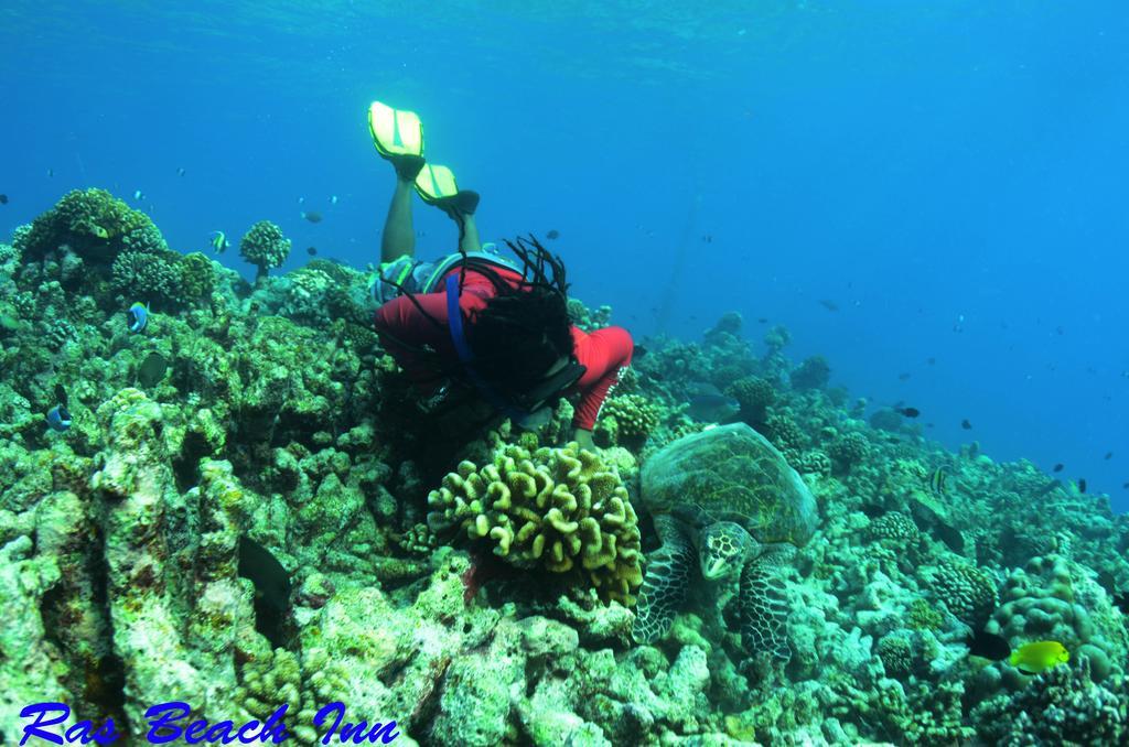 Ras Beach Inn Rasdhoo Экстерьер фото