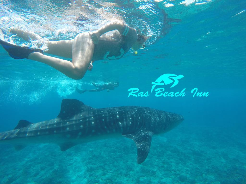 Ras Beach Inn Rasdhoo Экстерьер фото